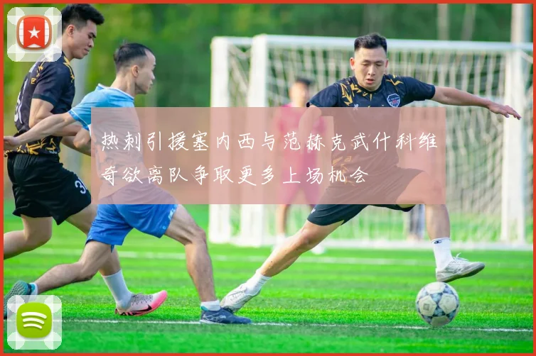 热刺引援塞内西与范赫克武什科维奇欲离队争取更多上场机会
